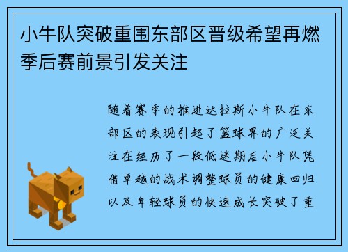 小牛队突破重围东部区晋级希望再燃季后赛前景引发关注