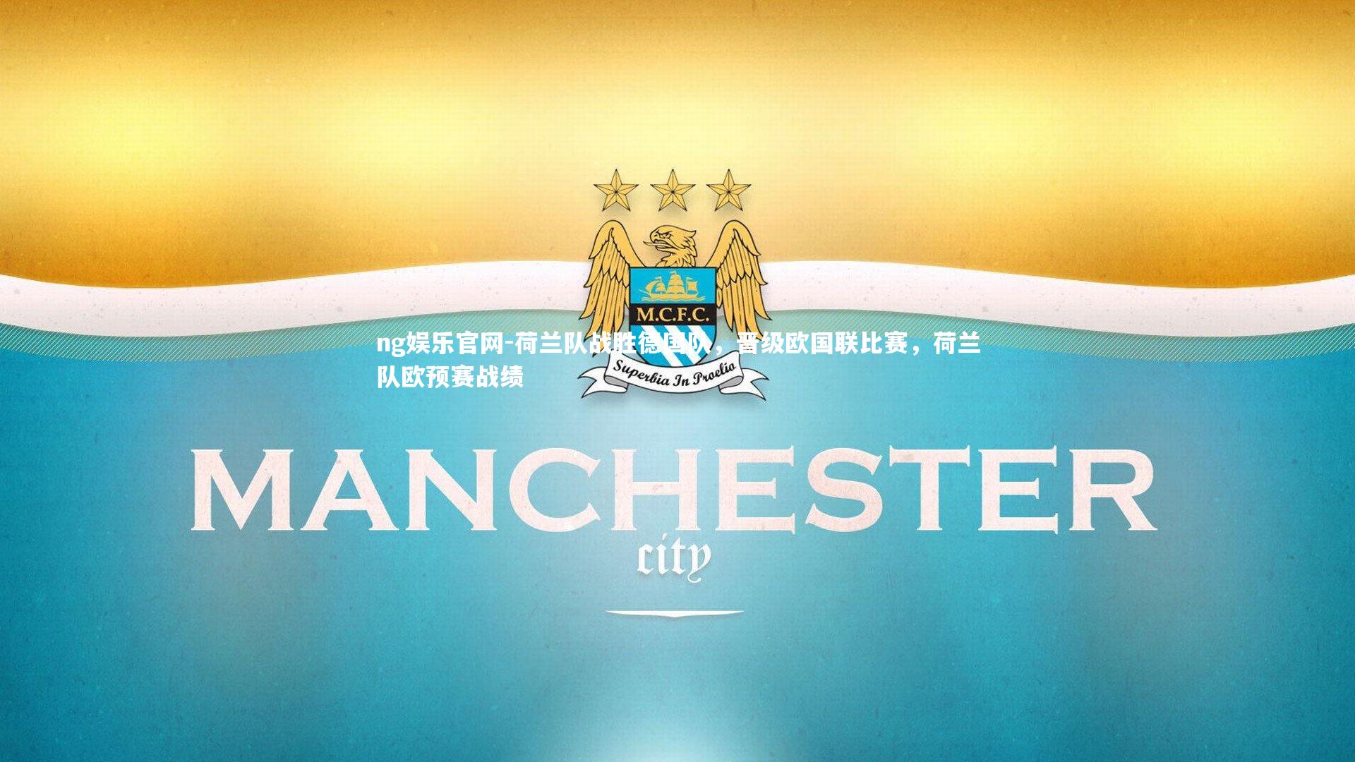 荷兰队战胜德国队,晋级欧国联比赛,荷兰队欧预赛战绩